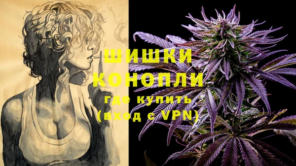 дживик Арсеньев