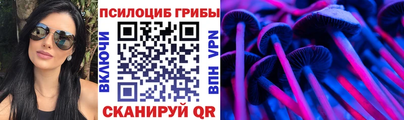 купить наркотики цена  Фатеж  Галлюциногенные грибы мухоморы 